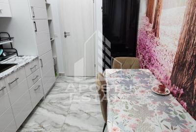 Apartament 2 camere etaj 2 la doar 8 minute de Timisoara - 6