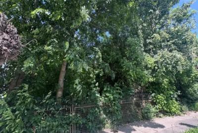 Teren de 4200 mp, în Rădăuți