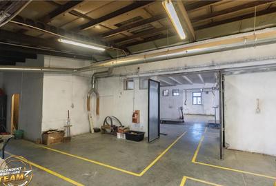 Spațiu comercial, de 1,341 mp, în Valea Crișului - 1