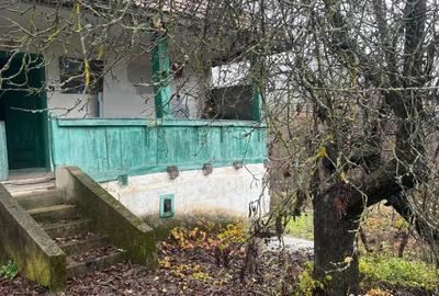 Casă cu 3 camere în Voloiac - 7