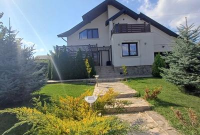 VILA CU 5 CAMERE, 150 MP UTILI, BECI, GARAJ, 717 MP TEREN, VISAN-BUCIUM - 33