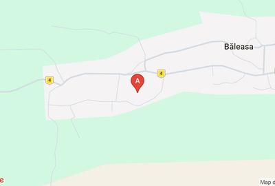 Casă individuală cu 3 camere cu Teren 7500 Mp în Băleasa - 1