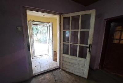 RECO  casa batraneasca Salard - 14