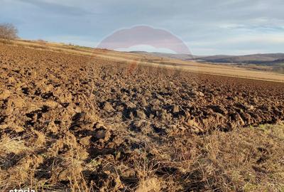Teren de 7200 mp, în Secuieni - 4