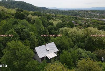 Casă cu 4 camere cu Teren 7400 Mp în Cicârlău