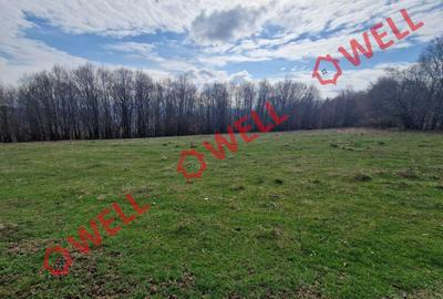 De vânzare teren extravilan în localitatea Brădet! De vânzare teren extravilan în localitatea Brădet! - 5