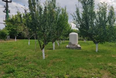 Casă cu 4 camere cu Teren 4800 Mp în Central - 13