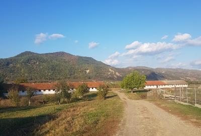 In Cislau teren intravilan parcelabil 500- 1000 mp 16 euro mp. - 6