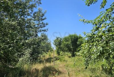 REL4001156 Teren de vanzare in Baneasa - 8