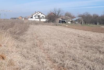Teren de 1000 mp, în Coșoveni - 2