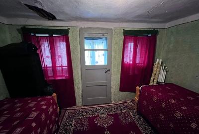 Vand casa cu mansarda ?i livada cu meri la poalele muntelui Leaota - 5