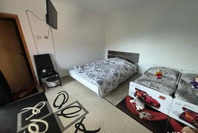 Casă cu 6 camere cu Teren 10000 Mp în Mehala - 3
