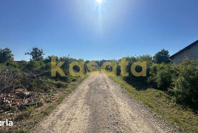 Teren de 1000 mp, în Snagov - 4