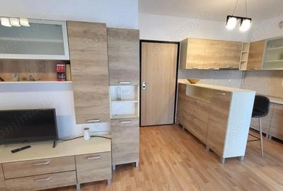 Dumbravita Complex Barcelona o camera 350 euro - 5