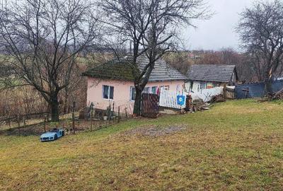 Casă cu Teren 4000 Mp în Hărman - 1