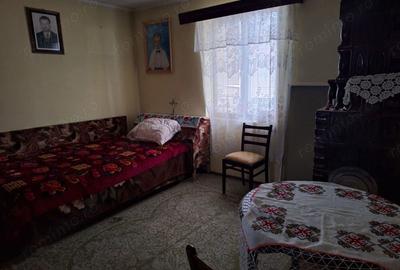 Vand casa de caramida - 7