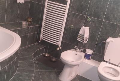 Cartierul Sasar, casa 17 ari teren - 9