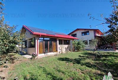 Vila 4+ camere, iaz cu peste, livada, 5300 mp teren, foisor, pivnta si crama, in - 7