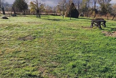 Spațiu comercial, în Petrila - 4