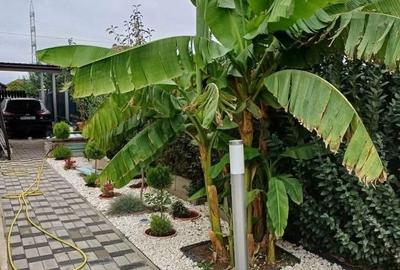 Duplex complet mobilat și utilat cu 3 camere |Dumbrăvița| - 11