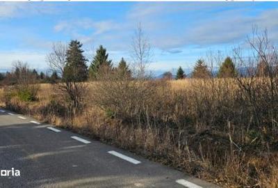 Spațiu comercial, în Hodoșa - 3