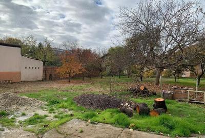 Teren de 1007 mp, în Lipovei - 3