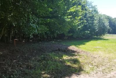 Teren de 1600 mp, în Groși - 3