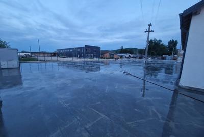 Spațiu industrial, de 190 mp, în Tomești - 6