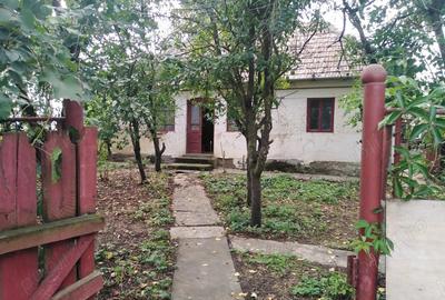 Casă cu 4 camere în Abuș - 9