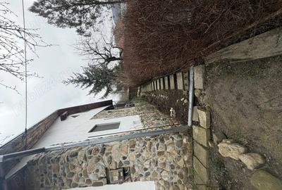 Casă cu 4 camere cu Teren 2000 Mp în Beceni - 2