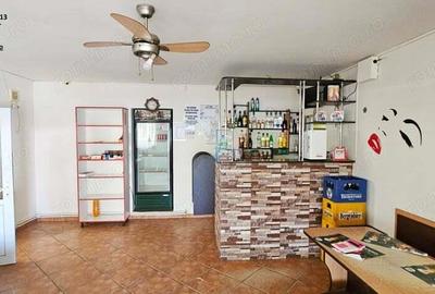 Proprietate multifunctionala, com.D-va Rosie,casa+spatiu comercial+teren - 7