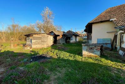 Casă cu 3 camere în Mineu - 4