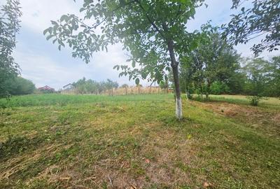Teren intravilan, cu priveliște spre pădure – Vălenii de Munte - 6