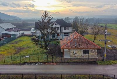 Vanzare casa individuala D+P+M + casuta de vara + teren 2000 mp, loc. Livada - 3