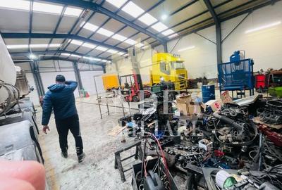 Hala 600mp + 4400mp teren- Giarmata, zona industriala Constructie 2023 - 4