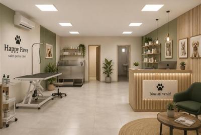 Spațiu comercial, de 70 mp, în Nicolina - 1