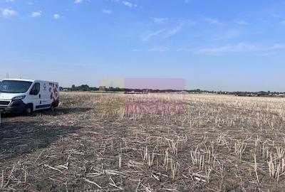 Teren Domnesti strada Ciocarliei - 2