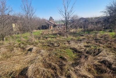 Teren Construcții intravilan de 1528 mp, în Ghercești - 8