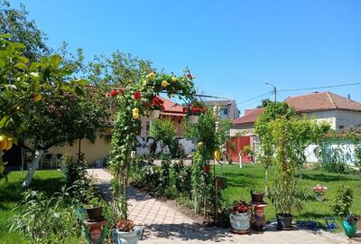 Casă cu 4 camere decomandat în Intim - 1