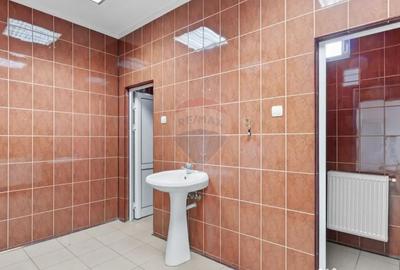 Spațiu comercial, de 4,602 mp, în Ultracentral - 11