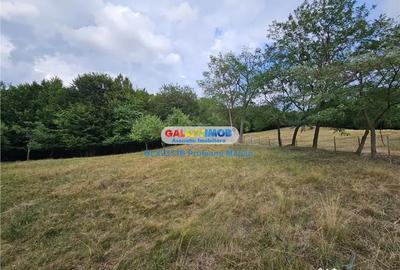 Teren de 2700 mp, în Curtea de Argeș - 1
