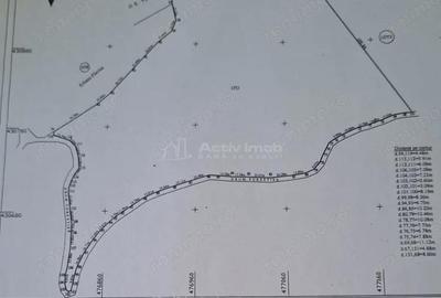 Teren de 69450 mp, în Arefu - 3