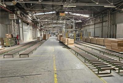 Spatiu Industrial -  2500 mp - Productie - Depozitare - Distributie - 13