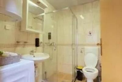 Apartament cu 2 camere în Unirii - 1