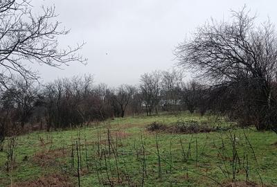 Teren Intravilan Draganesti-Olt 1649mp - 2