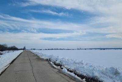 Teren agricol intravilan de 10000 mp, în Snagov - 4