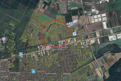 Teren de 10000 mp, în Ghiroda - 1