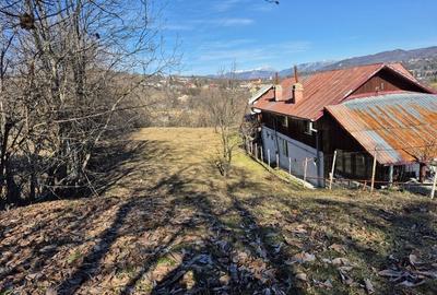 Teren intravilan 3526 mp cu vedere superba catre munte! - 5