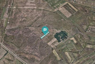 Teren extravilan de 10.000 mp - 4