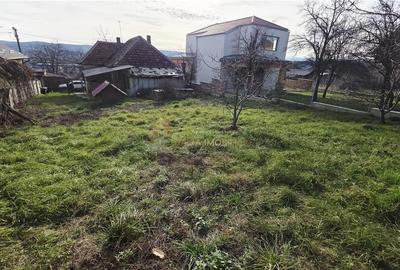 CASA 2 CAMERE 70 MP TEREN 601 MP DAMBUL ROTUND - 6